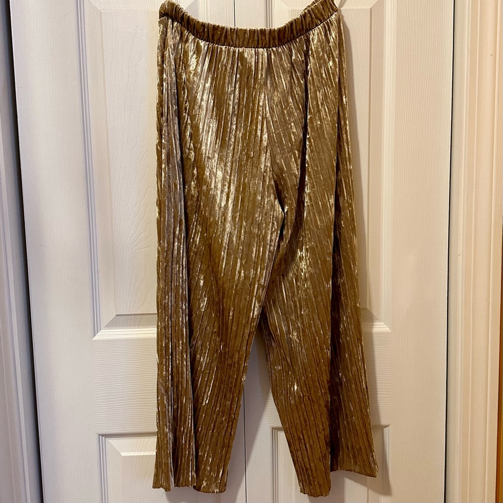 Velvet Gold Pleated Pants, Small